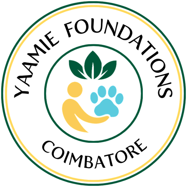 Yaamie Foundations emblem